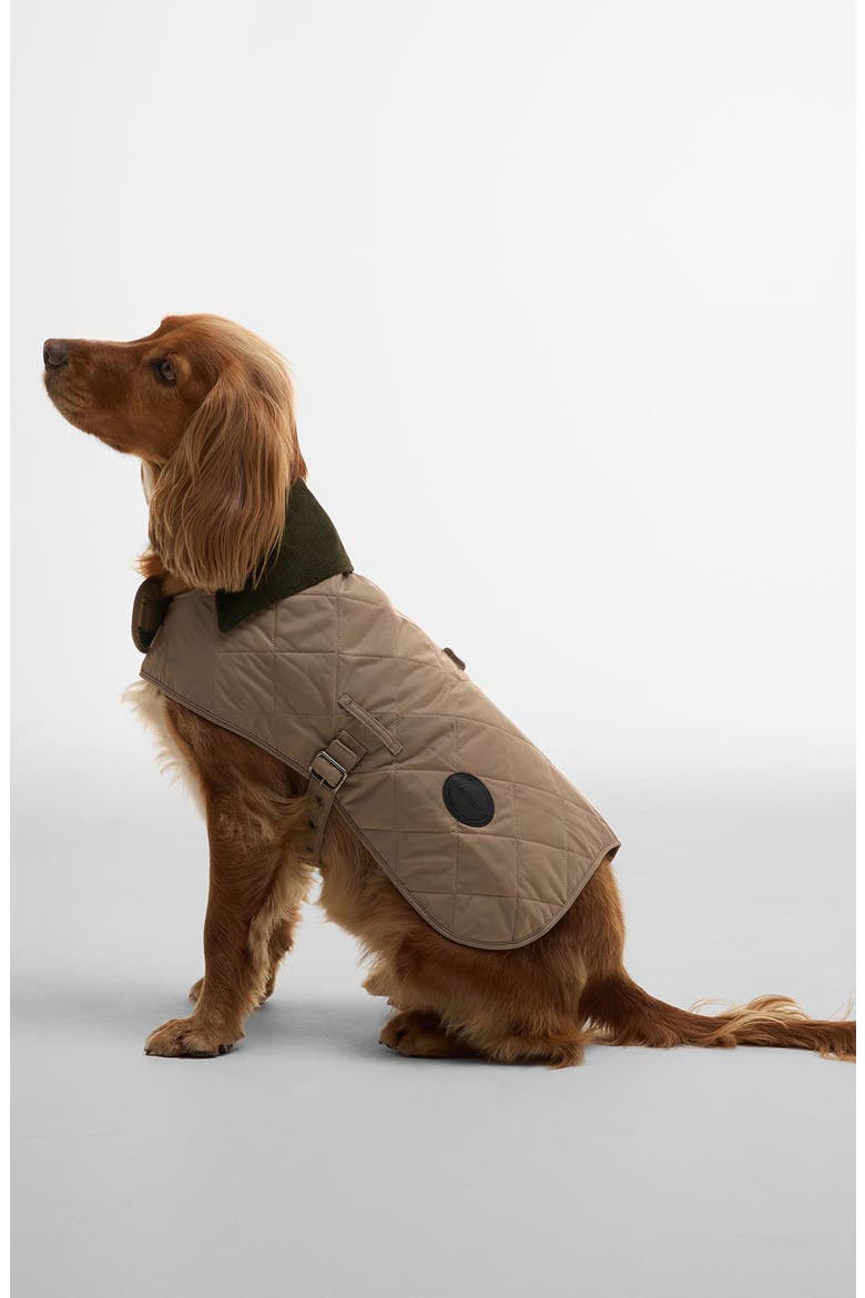 Quilted Nylon Dog Coat, Main, color, SAND DUNE