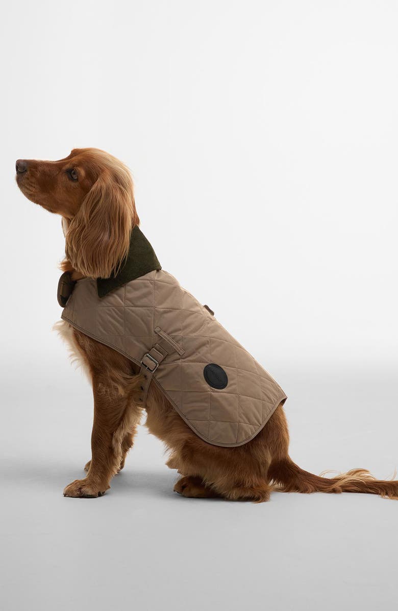 Barbour Quilted Nylon Dog Coat, Main, color, 