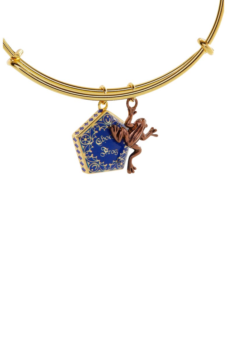 Harry Potter Chocolate Frog Two-Charm Bangle Bracelet, Alternate, color, Blue