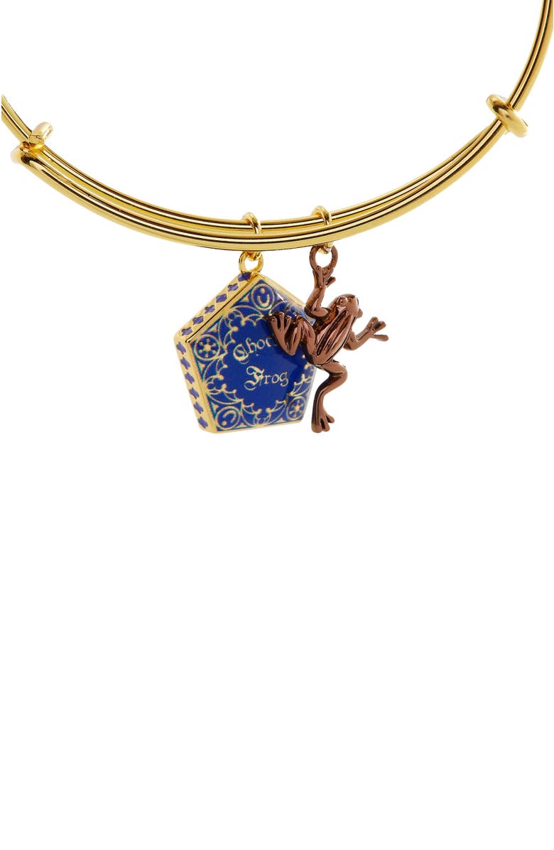 Alex and Ani Harry Potter Chocolate Frog Two-Charm Bangle Bracelet, Alternate, color, Blue