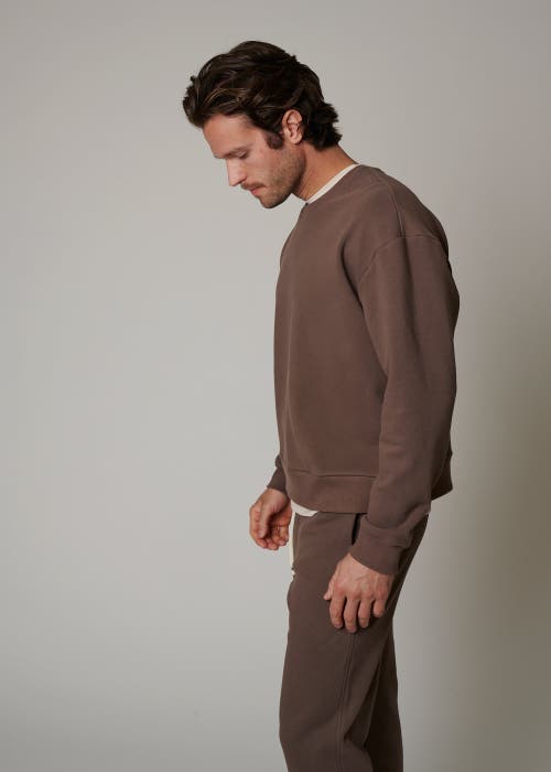 Leisure Lab Zen Crewneck In Cacao