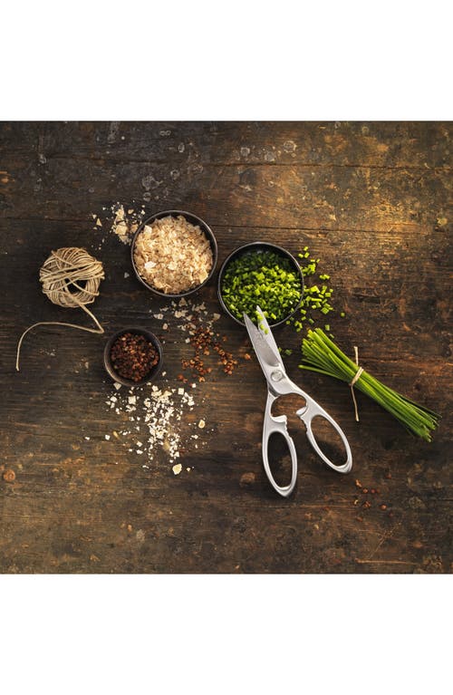Zwilling Twin Select Stainless Steel Kitchen Shears In Silver