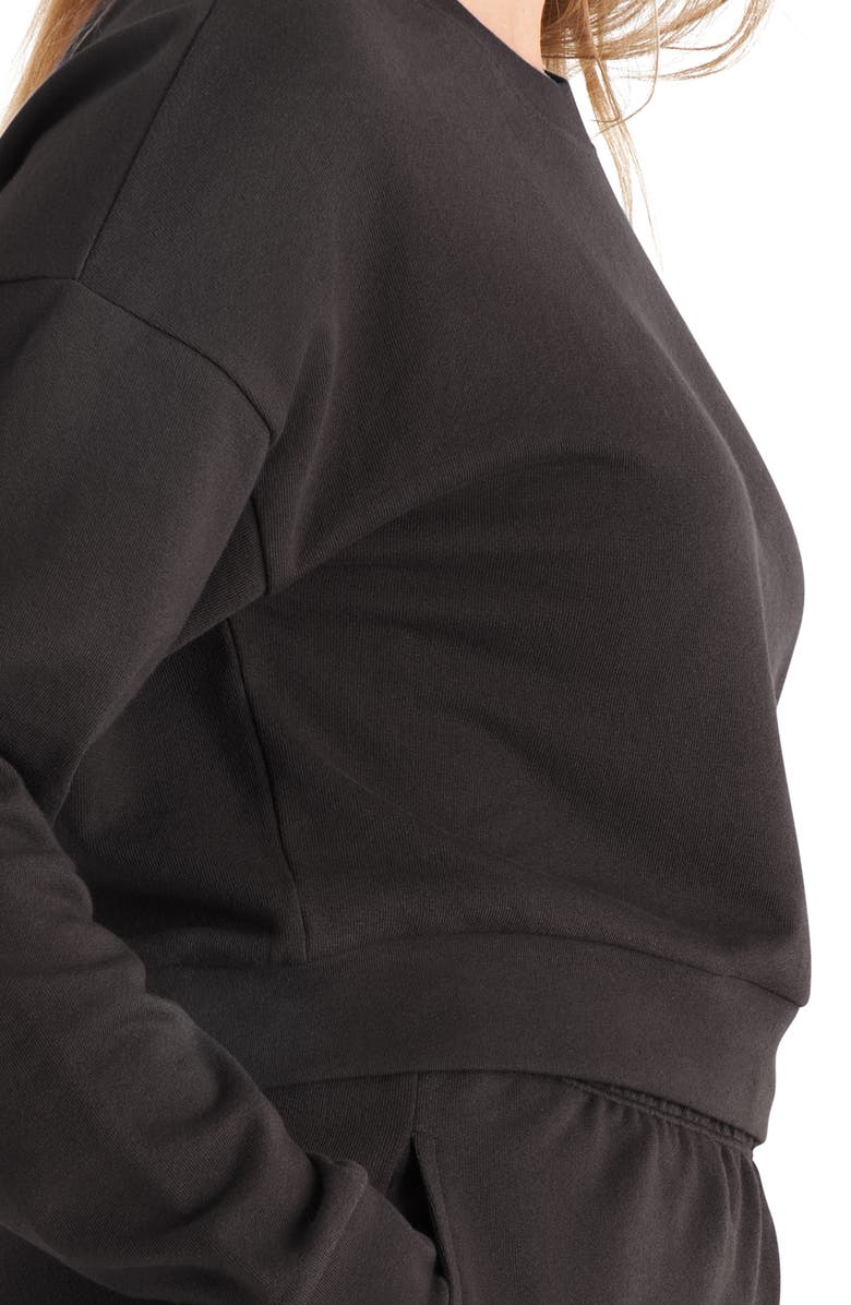 The Standard Stitch The Crop Sweatshirt, Alternate, color, Vintage Black