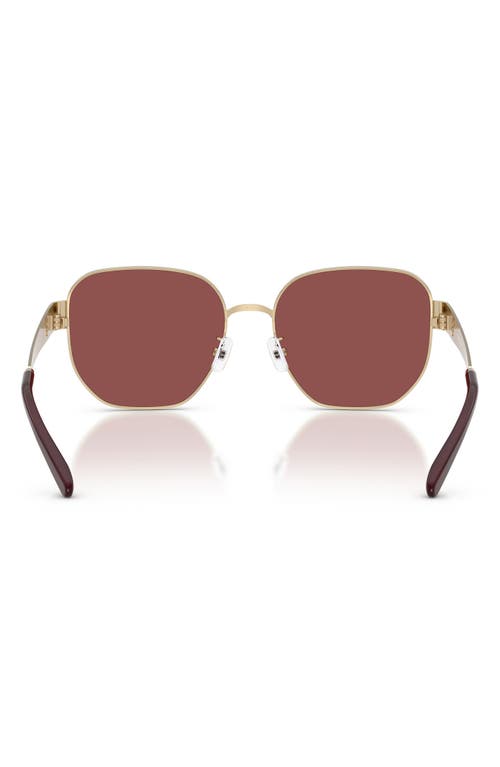 Tory Burch 56mm Irregular Sunglasses