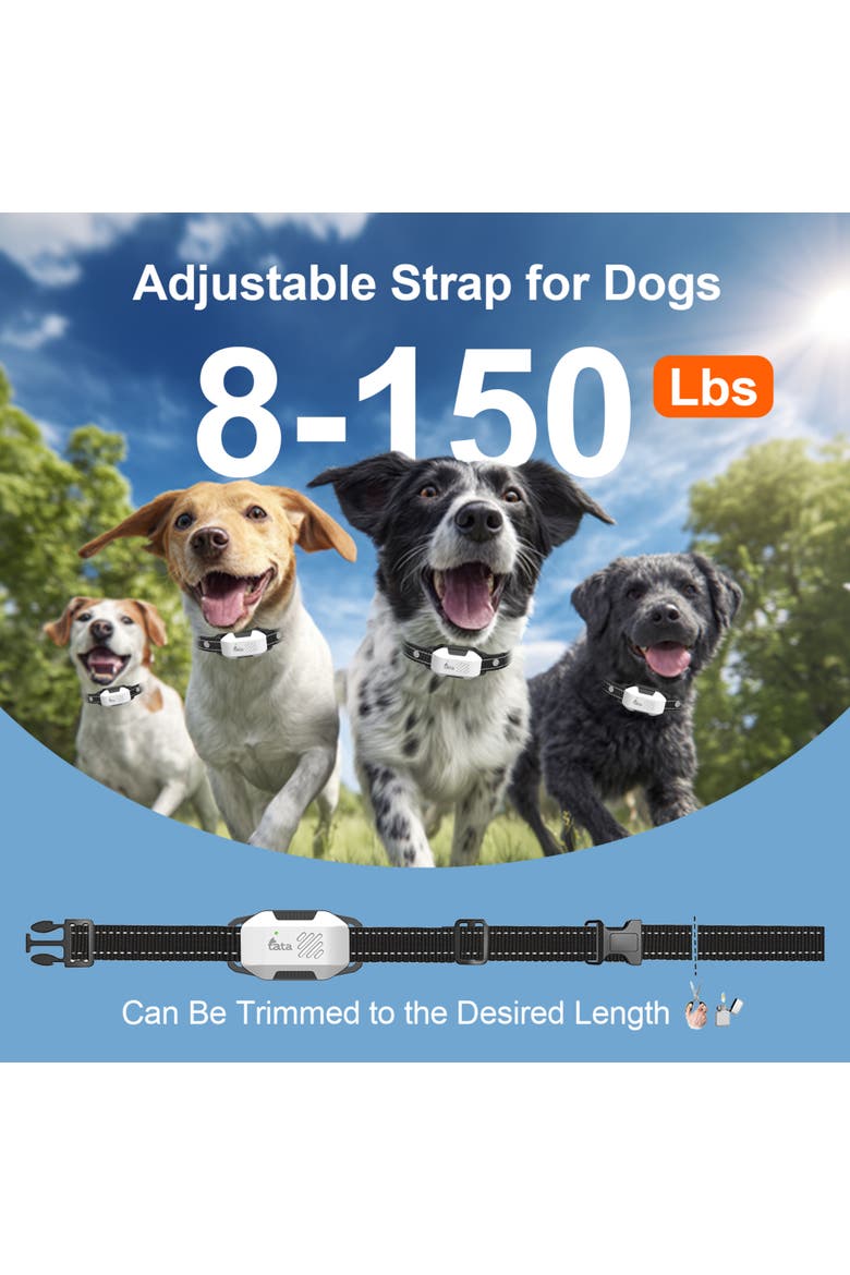 PupGuide 3000 Lite Dog Remote Trainer Collar, Alternate, color, Black