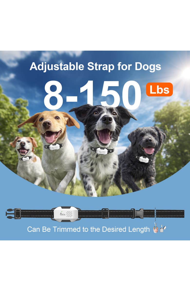 TATA PupGuide 3000 Lite Dog Remote Trainer Collar, Alternate, color, Black