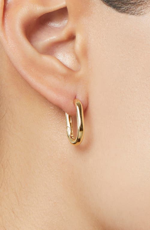 Ana Luisa Small Rox Oval Hoop Earrings