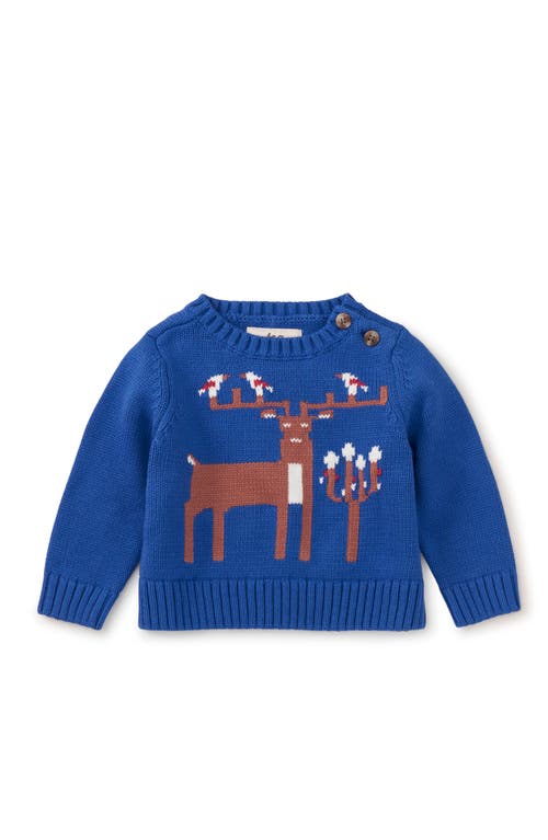 Tea Collection Reindeer Baby Sweater in Majorelle Blue 