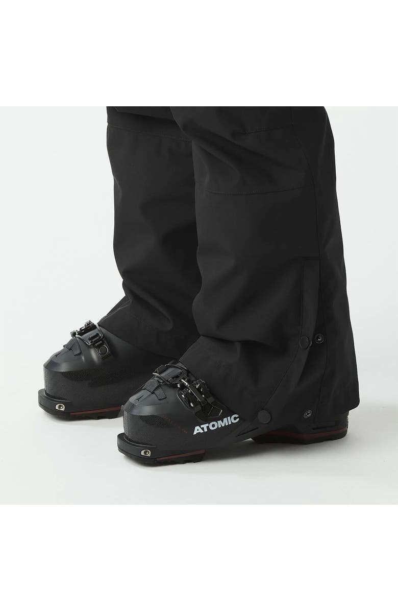 Picture Organic Brita Bib Pant - Women's, Alternate, color, Black