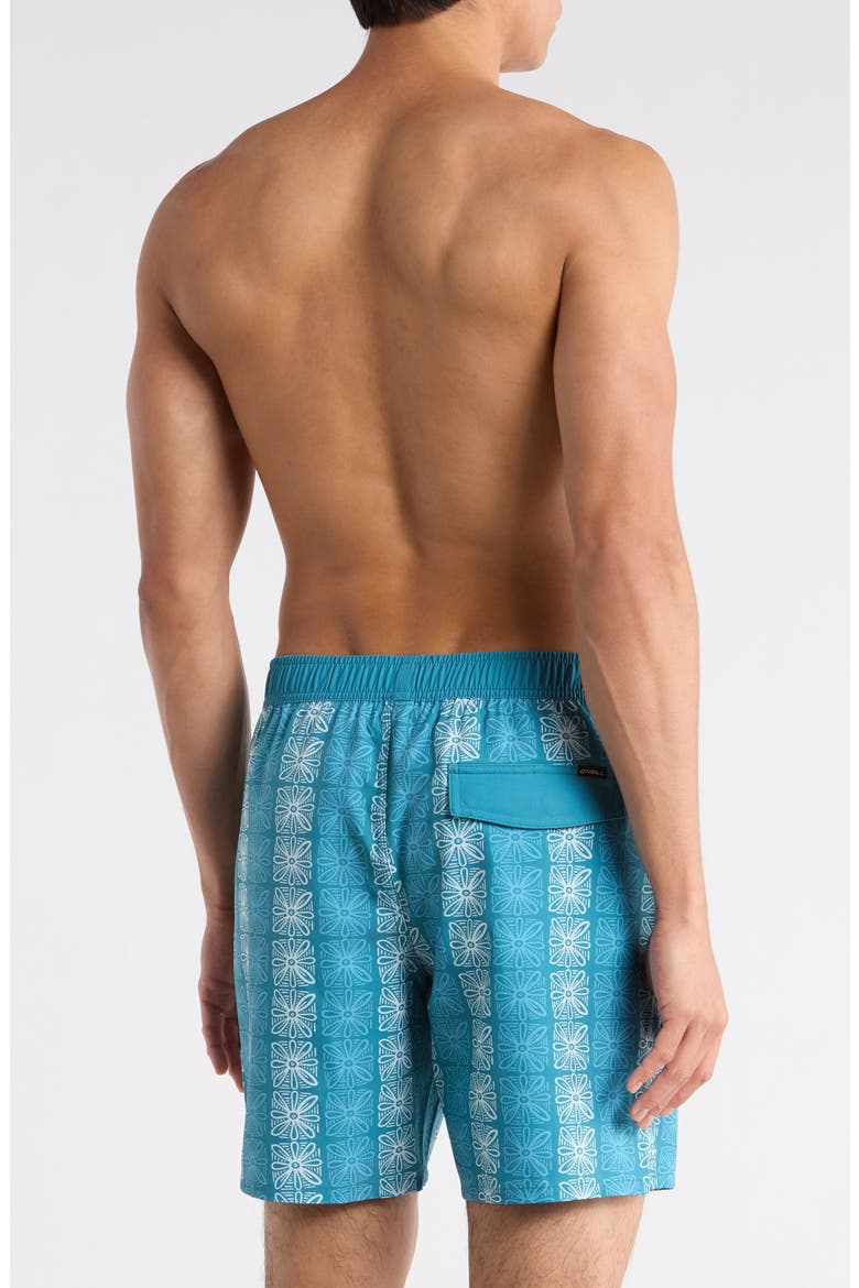 Hermosa Elastic Waist Swim Trunks, Alternate, color, STORMY