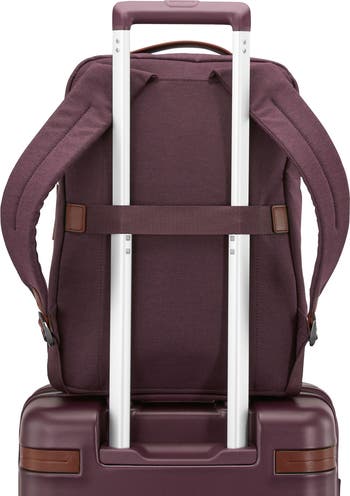 Virtuosa Backpack & Carry On 2-Piece Set
