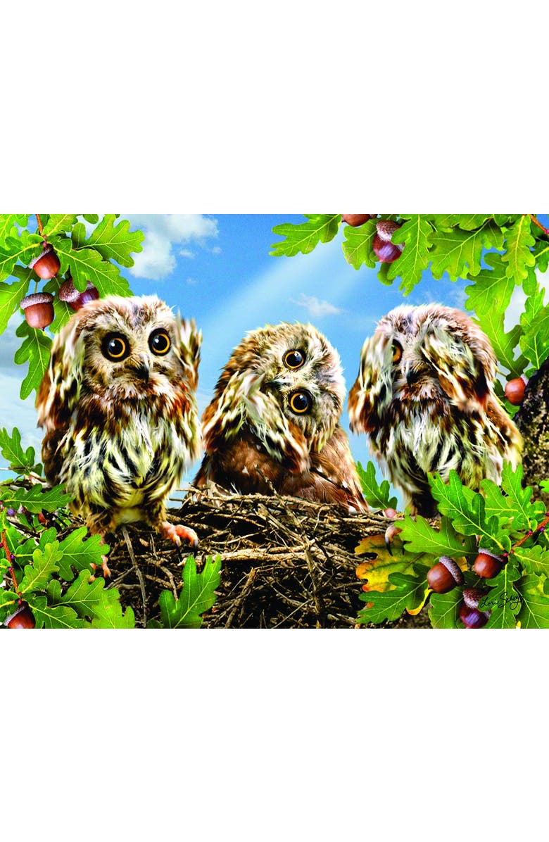 Sunsout Hear No Speak No See No 300 piece Jigsaw Puzzle for Adults, Alternate, color, Multicolor