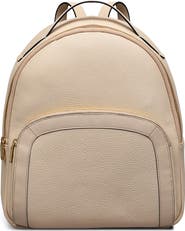 Radley Merchant Hall Medium Leather Backpack