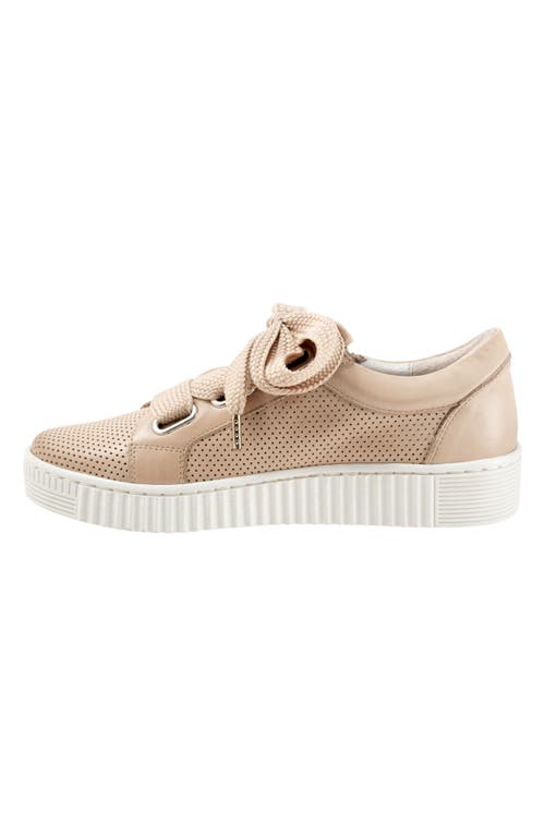 Eos Footwear Jovi Perforated Leather Sneaker In Birch