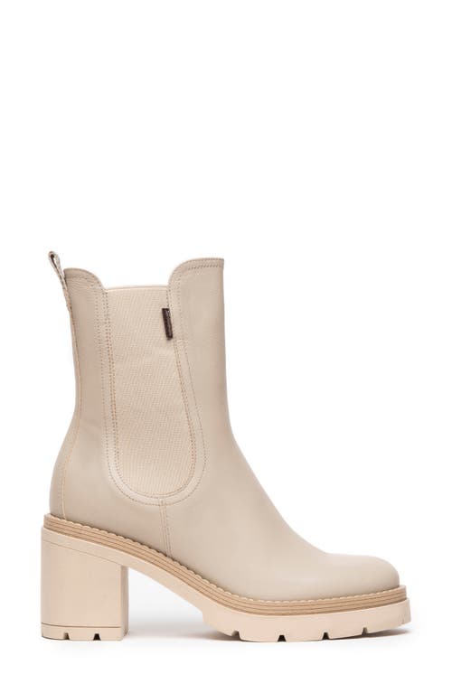 Nerogiardini Calfskin Chelsea Ankle Boots In Sand