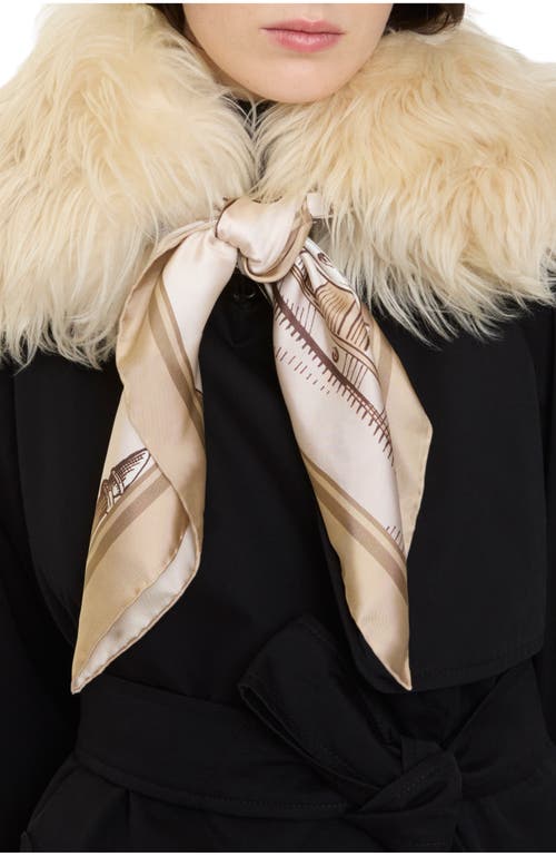Burberry Scarf Trim Shearling Collar In Brown