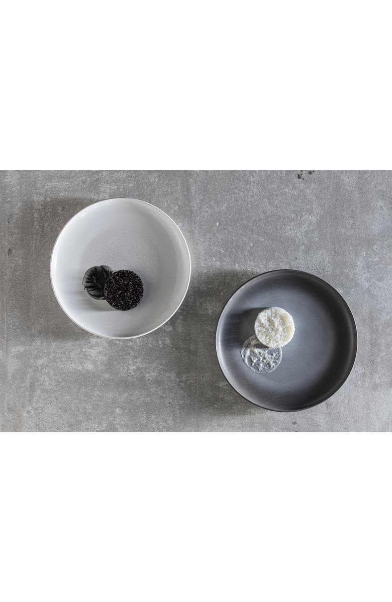 Fortessa Cloud Terre Set of 4 Hugo Plates, Alternate, color, Charcoal