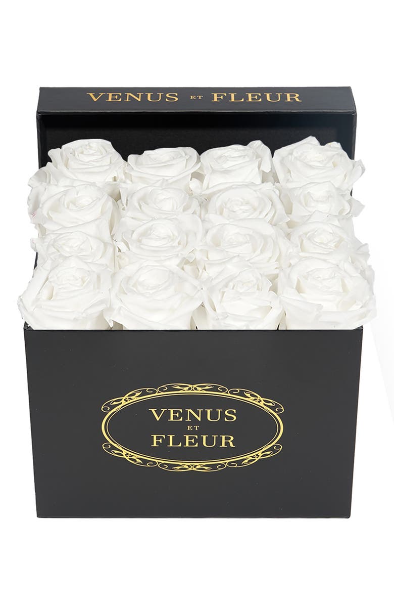 Venus ET Fleur Classic Small Square Eternity Roses, Main, color, Pure White