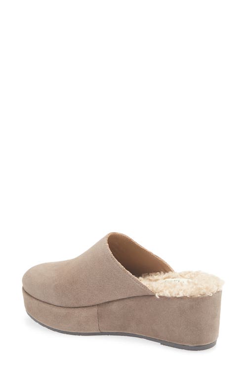Cordani Camryn Platform Wedge Mule In Brown