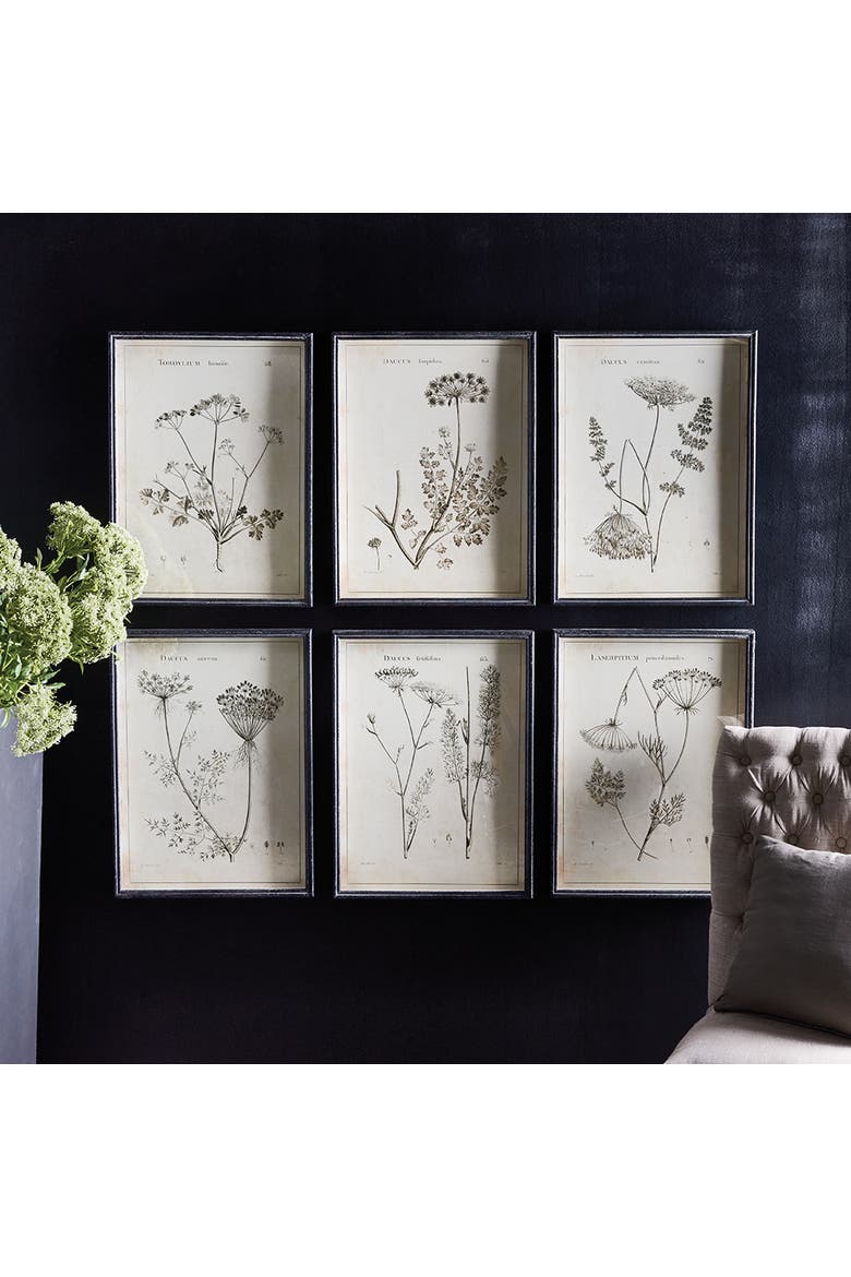 Wildflower Study Set of 6, Alternate, color, Green
