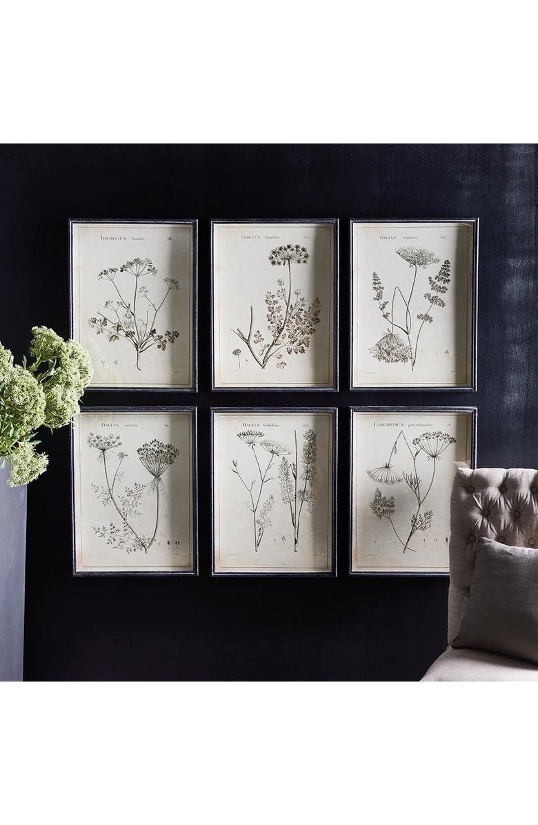 Napa Home & Garden Wildflower Study Set of 6, Alternate, color, 