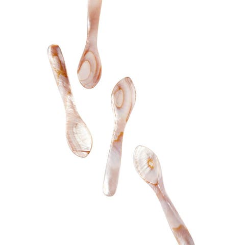 Seashell Spoons - Set of 4