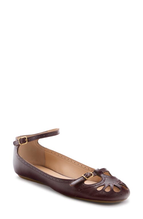 Chloé Chloe Misty Cut-out Leather Ballet Flats In Animal Print