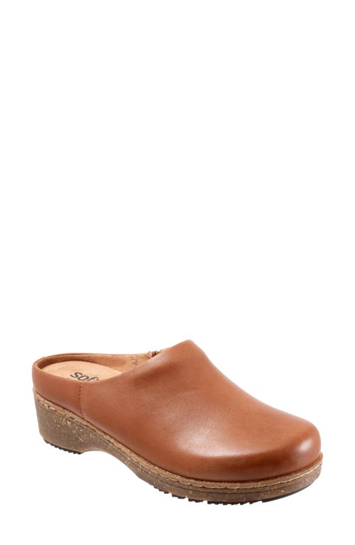 SoftWalk® Arvada Mule in Luggage  product