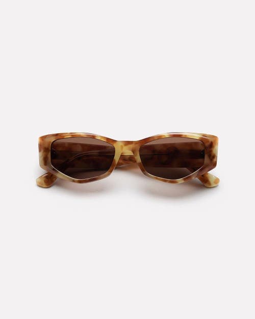 Epokhe Guilty Sunglasses In Brown