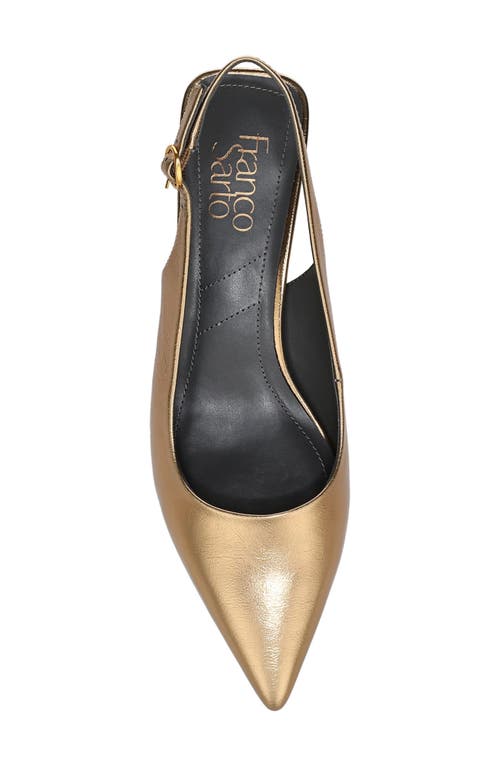 Franco Sarto Jaden Pointed Toe Slingback Pump In Brown