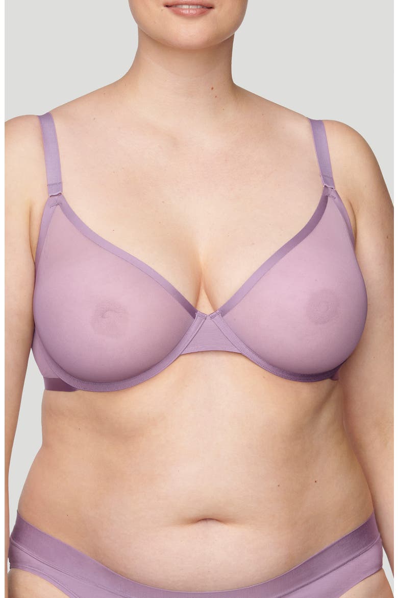 The Plunge Underwire Mesh Bra, Alternate, color, AMETHYST PURPLE