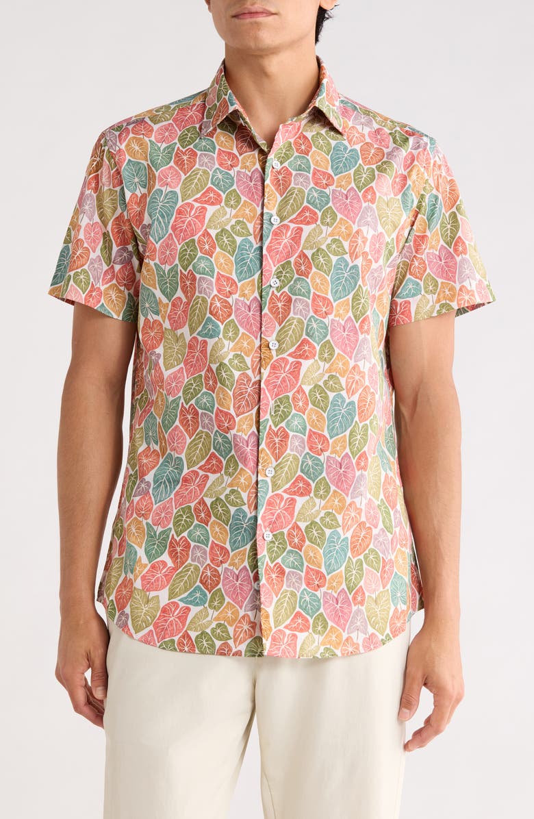 Rodd & Gunn Ravensbourne Button Up Shirt, Main, color, Brick