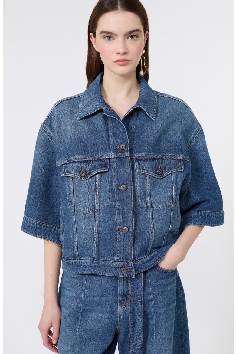 Liuti Crop Denim Jacket, Alternate, color, NAVY