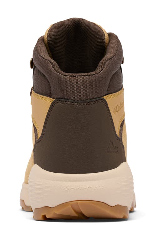 Columbia Newton Wander™ Waterproof Hiking Boot In Brown