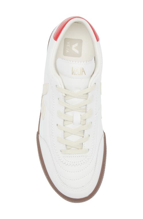 Shop Veja Panenka Sneaker In White Pierre