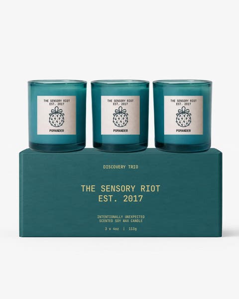 Winter Wonderland Discovery Trio