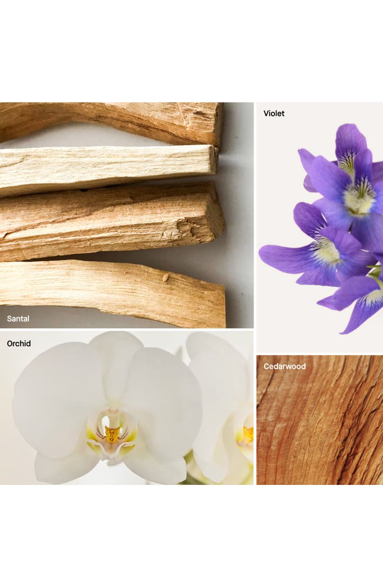 Dusa Fragrances Santal -  5 Fl Oz Reed Diffuser, Alternate, color, Santal