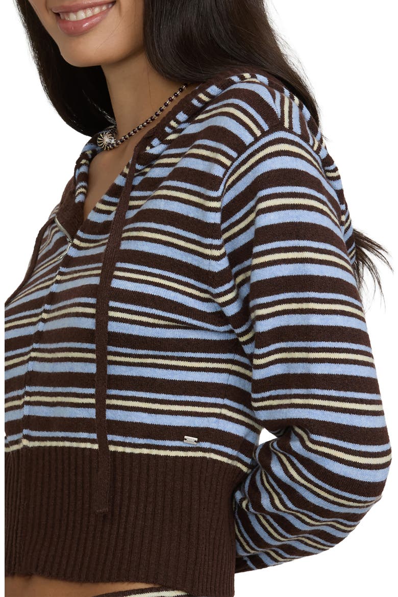 Shore Stripe Hooded Zip Sweater, Alternate, color, TEAK