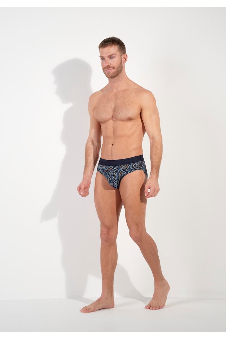 Fontainebleau Mini Briefs, Alternate, color, Navy Print