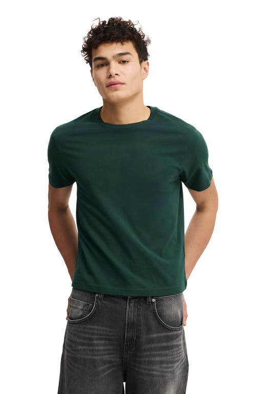Cotton On Classic Fit T-shirt In Green