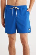Quiksilver Banner Ripstop Volley Swim Trunks