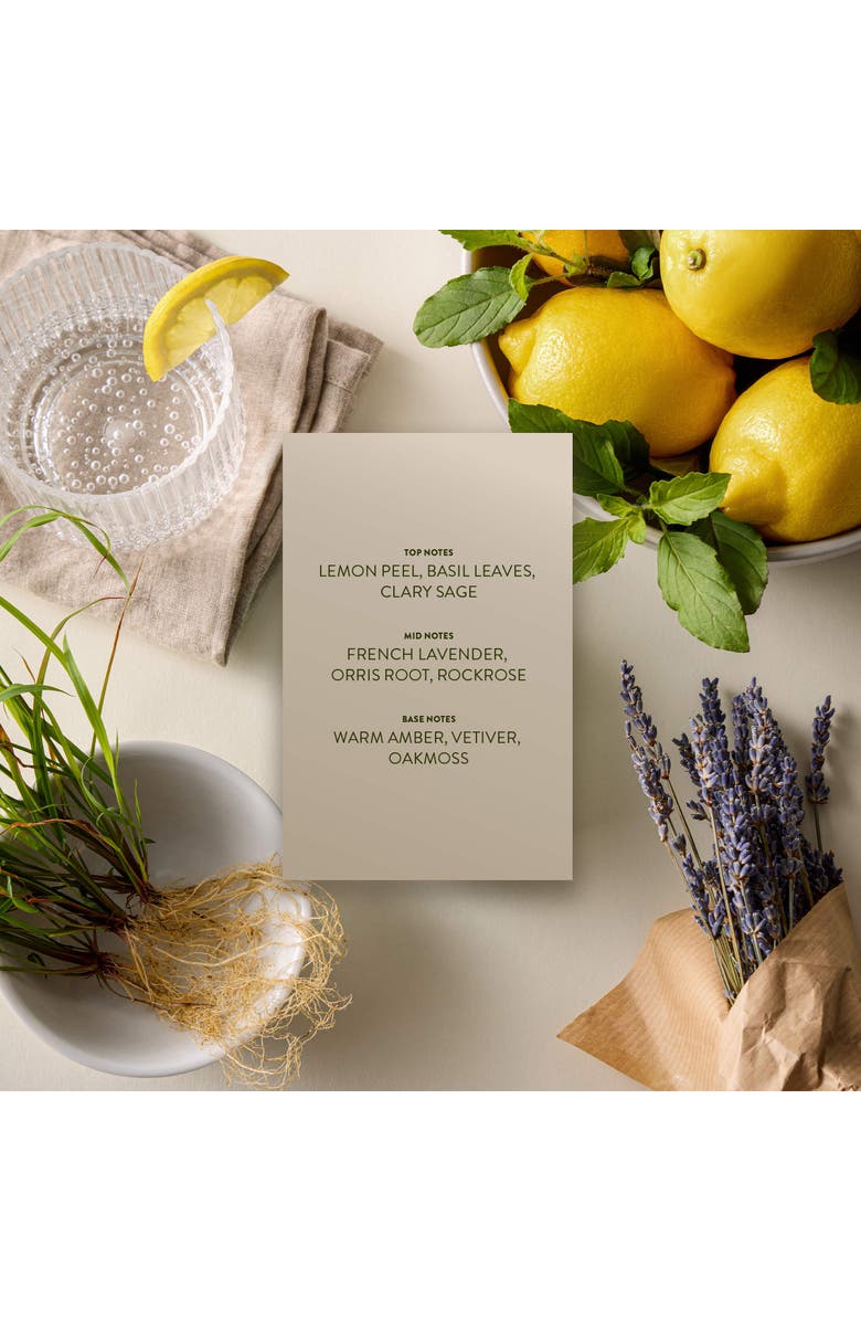 Michael Malul Zest+Vetiver 0.33oz/10mL Men's EDP, Alternate, color, Light Green