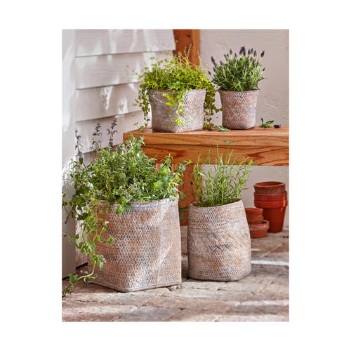 Tag Tulum Whitewash Cement Basket Planter Small For Indoor Plants In Neutral