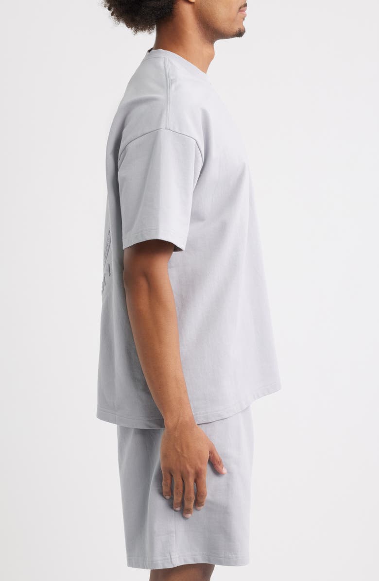 PAPER PLANES Planest Terry Washed Graphic T-Shirt, Alternate, color, Washed Grey