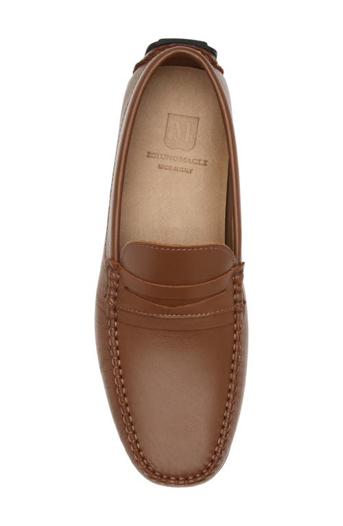 Bruno Magli Pelican Penny Loafer In Brown