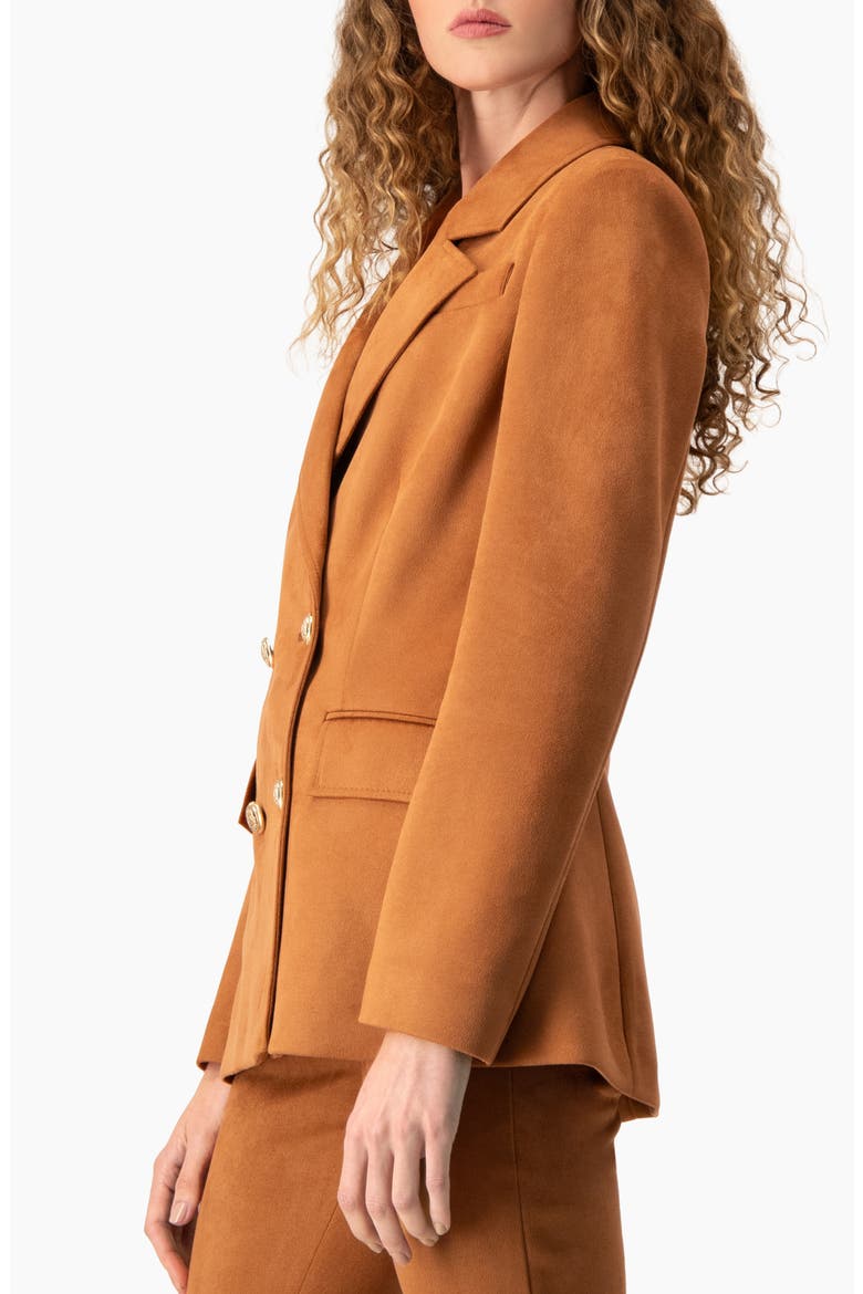 Double-Breasted Faux Suede Blazer, Alternate, color, Chedron
