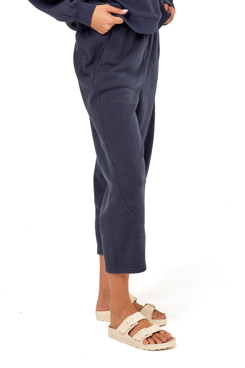 Chantel Mineral Wash Crop Wide Leg Pants, Alternate, color, STARGAZER