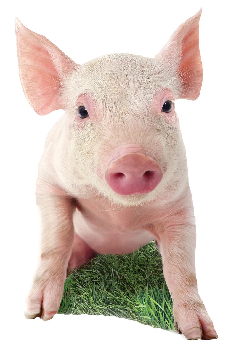 Pig 100 Piece Shaped Jigsaw Puzzle, Alternate, color, Multicolor