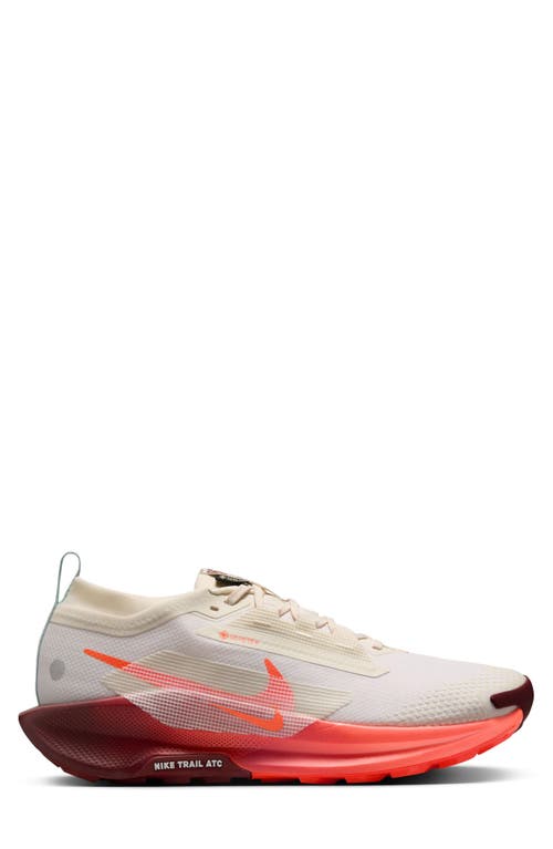 Nike Pegasus Trail 5 Gore-tex® Waterproof Running Shoe In Multi