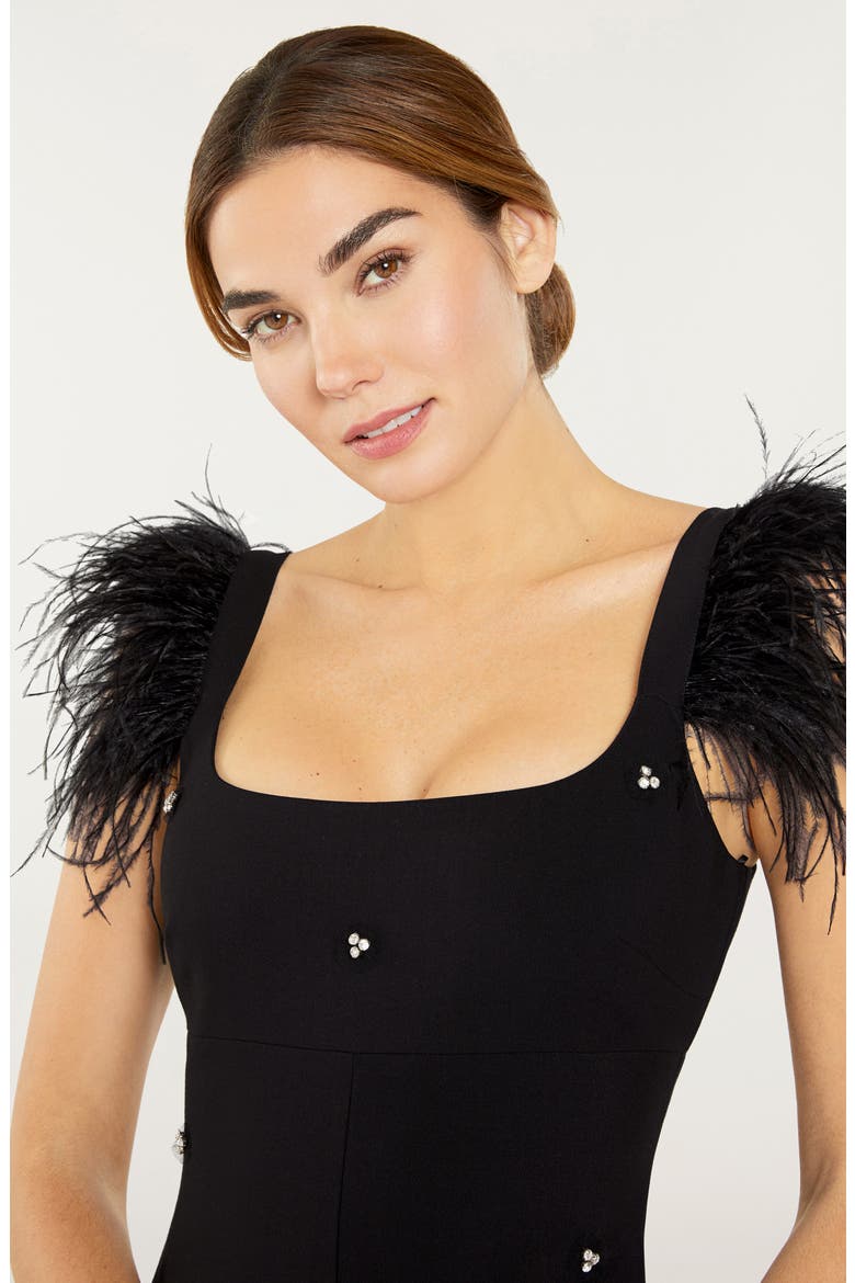 Cameron Feather Cap Sleeve Gown, Alternate, color, BLACK